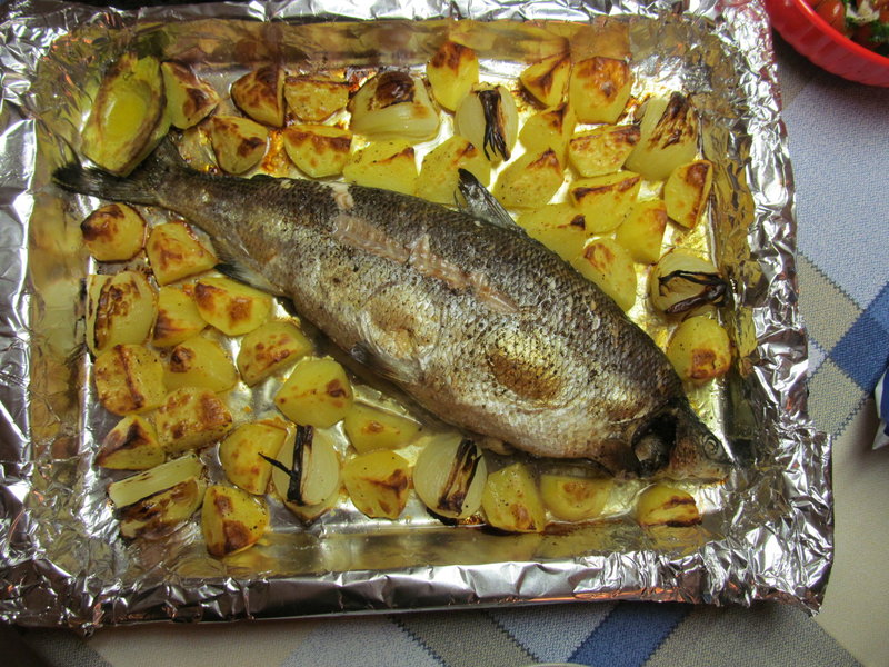 IMG_2000.JPG