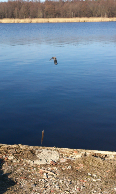 DSC_0098.png