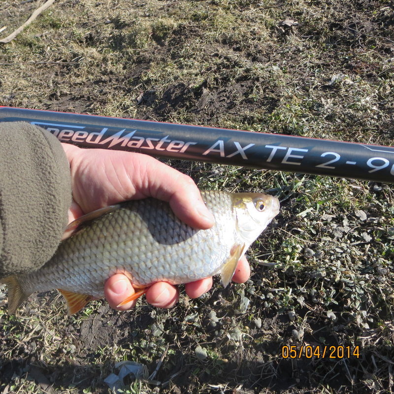 IMG_2627.jpg