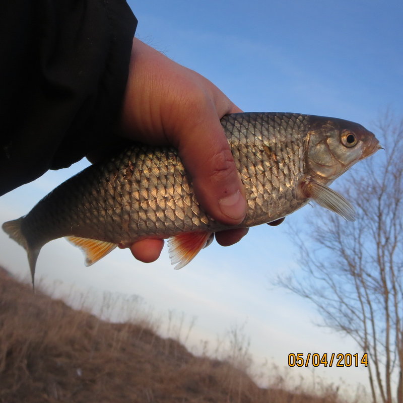 IMG_2654.jpg