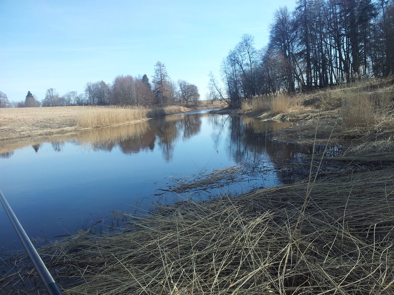 20140405_164028.jpg