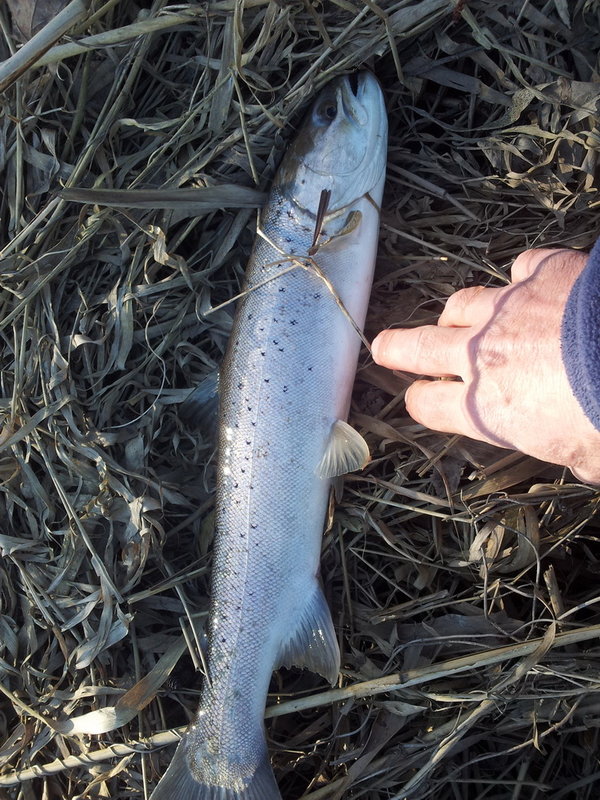 20140416_092938.jpg