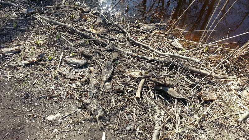 20140416_145746.jpg