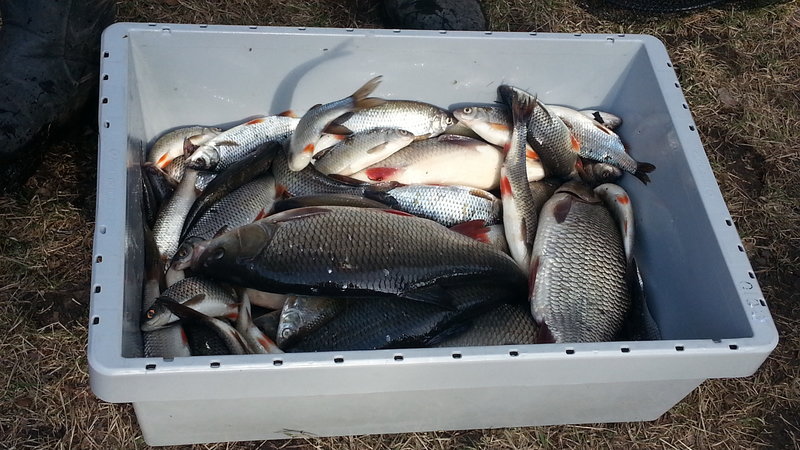 20140417_155238.jpg