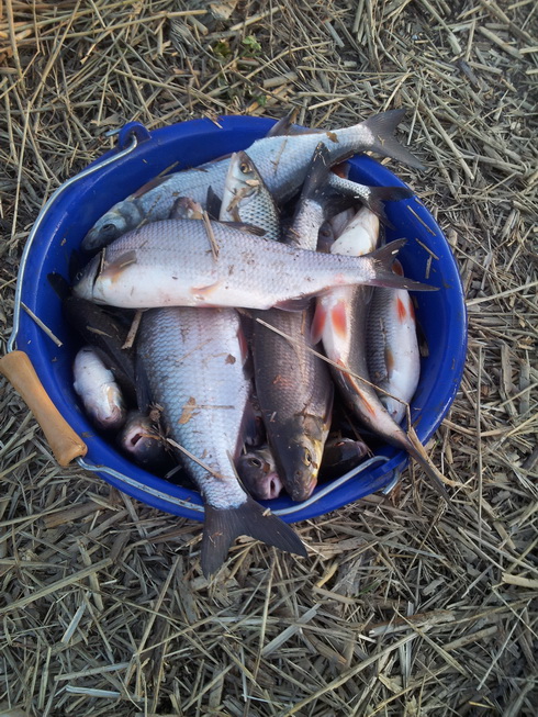 20140419_201725.jpg