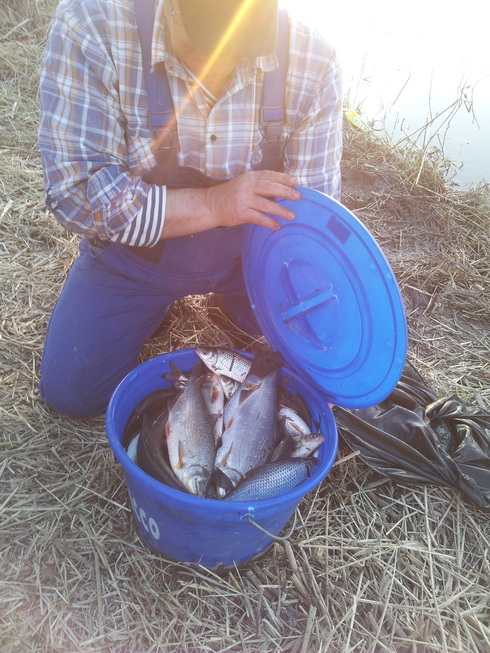 20140419_201839.jpg