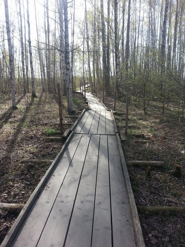 20140430_095441.jpg