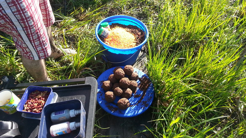 20140524_084835.jpg