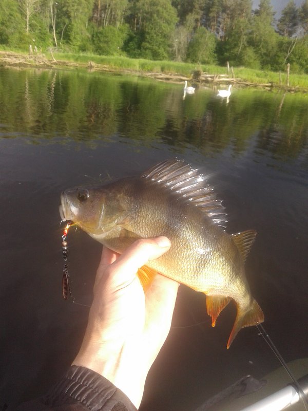2014-06-23 19-47-28.JPG