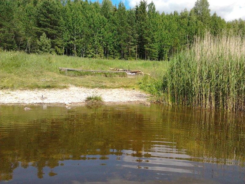 Единственное свободное место на водоеме.