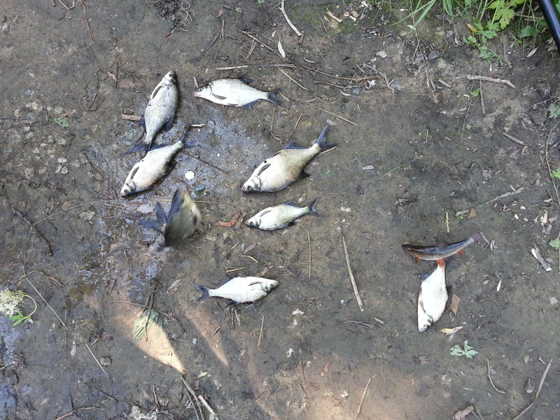 20140726_112458.jpg