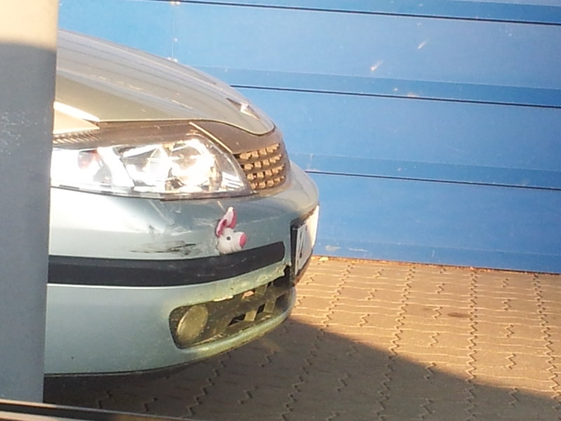 20140804_200610.jpg
