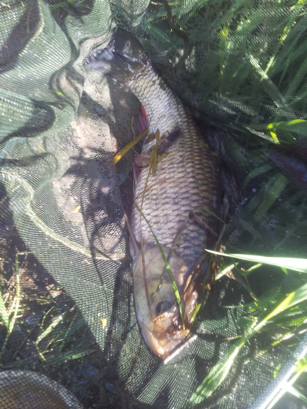 20140906_164606.jpg