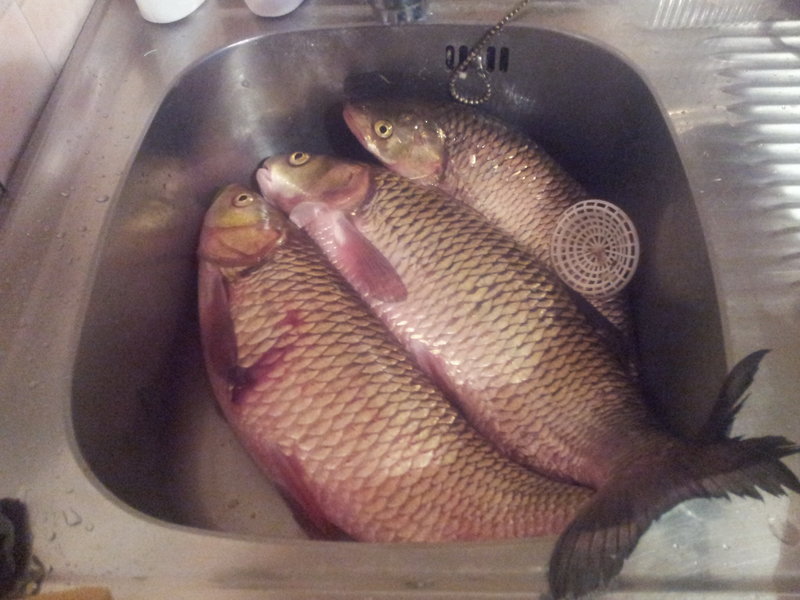 20140906_202931.jpg