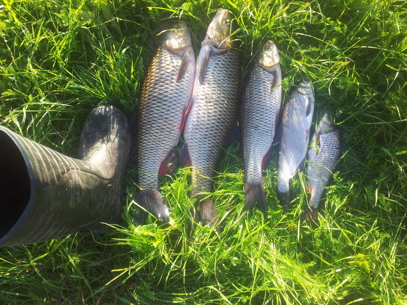 20140906_182338.jpg