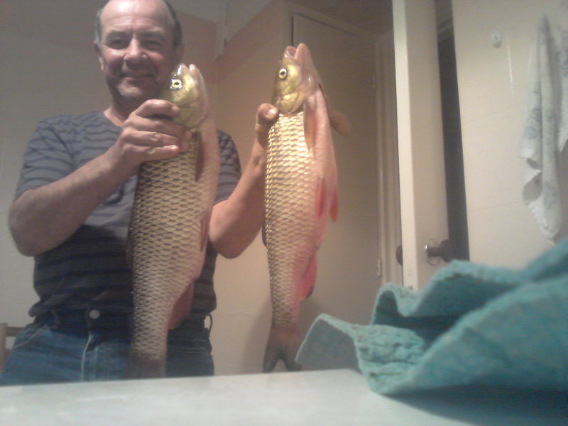 20140906_202742.jpg