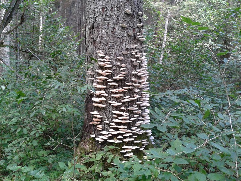 20140915_141328.jpg