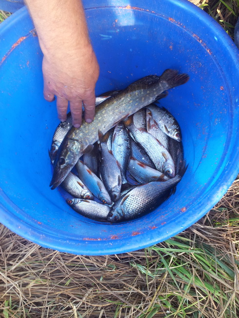 20140913_181928.jpg