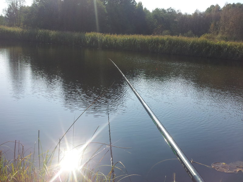 20140920_120723.jpg