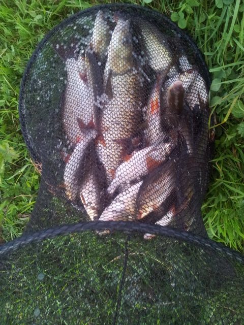 20140920_193314.jpg