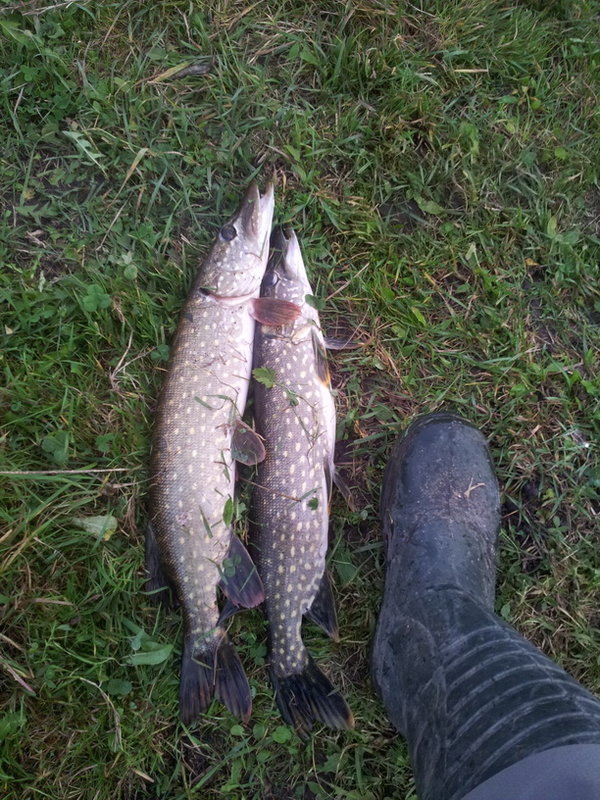 20141004_175232.jpg