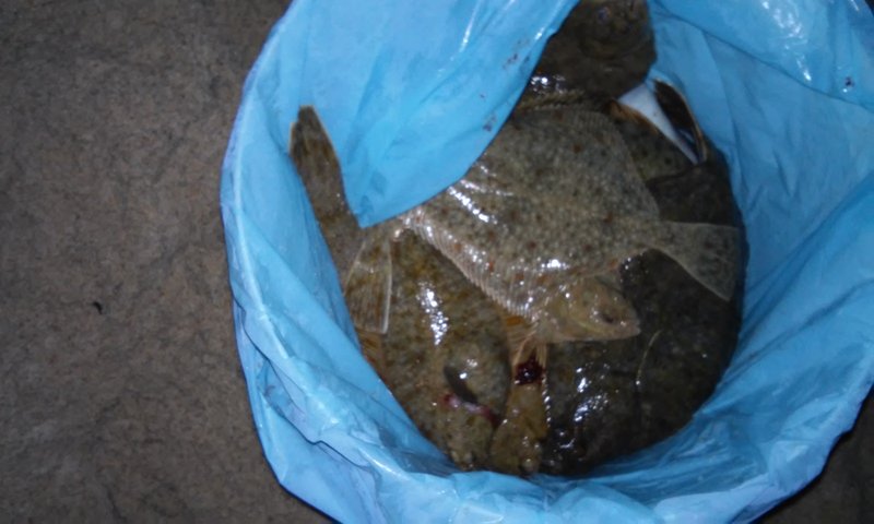 20141111_233404.jpg