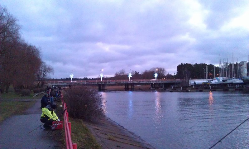 IMAG0282.jpg