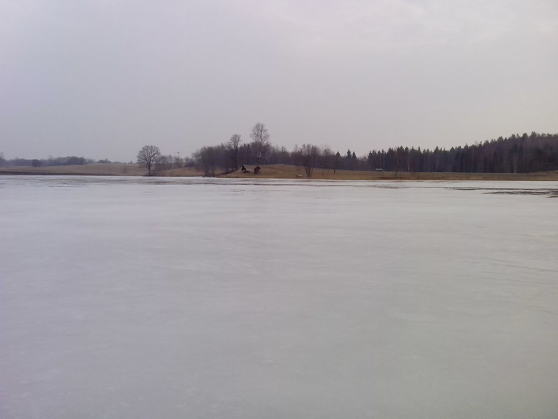 IMG_20150328_083600.jpg