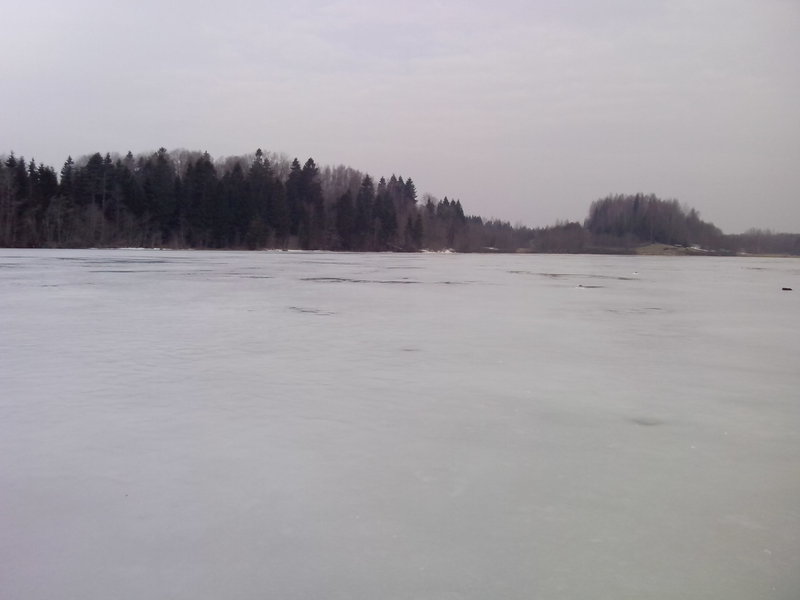 IMG_20150328_083604.jpg