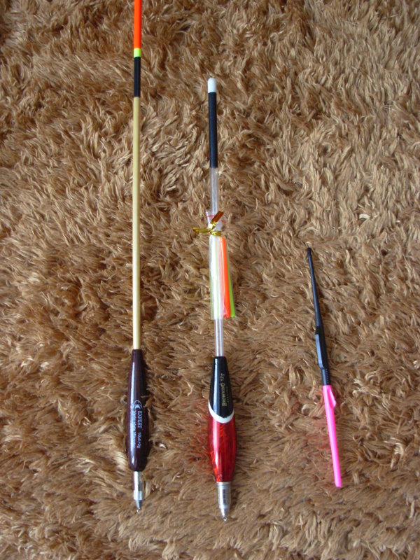 DSCN4125.JPG