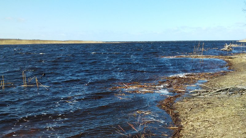 20150408_140503.jpg