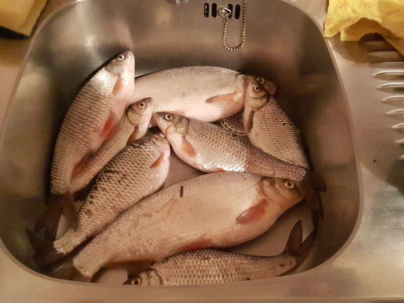 20150411_232339.jpg