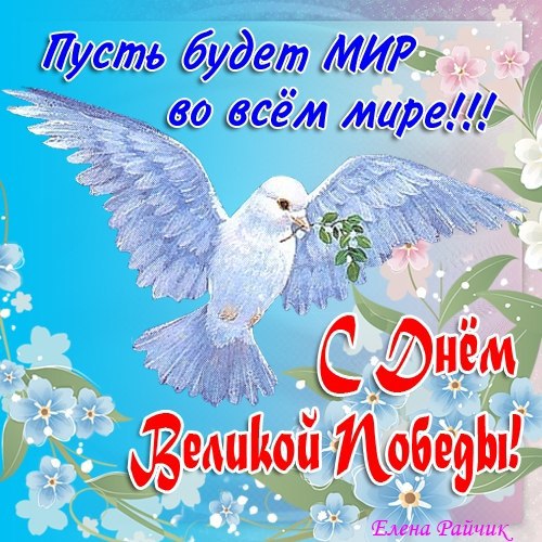 orig_49219c2eaf2f28c8a907fddeb5328b53.jpg