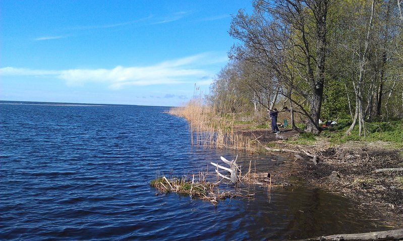 IMAG0541.jpg