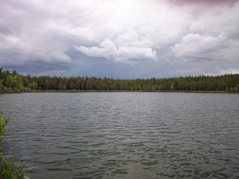 DSC_2959.JPG