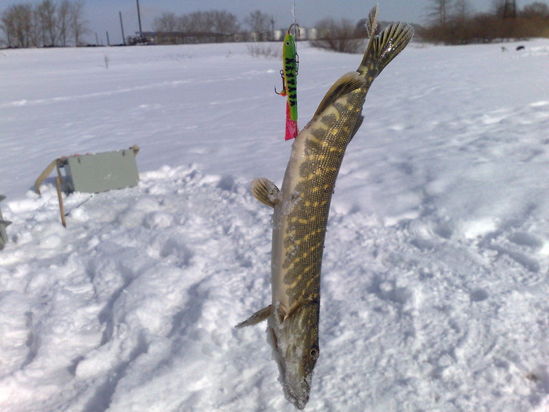 17032010795.jpg