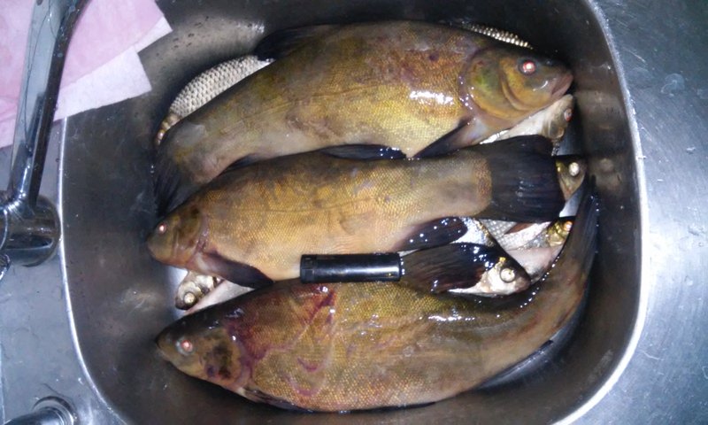 20150614_140706.jpg