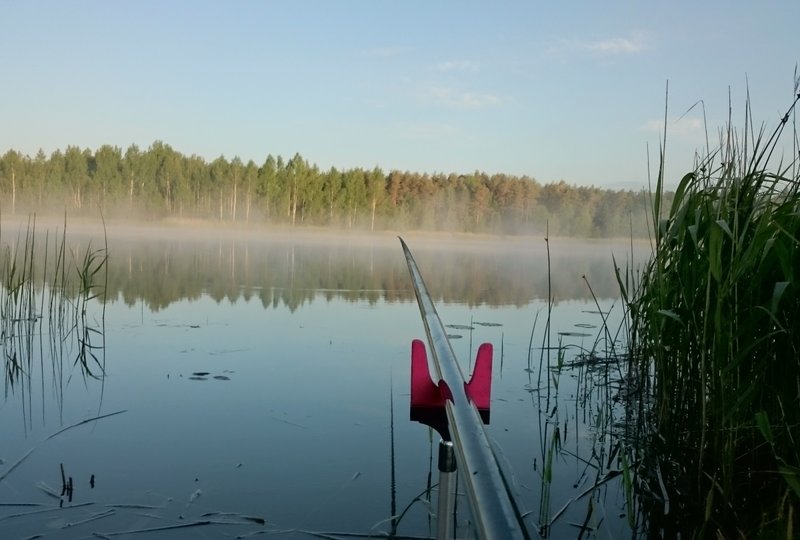 DSC_2985.JPG