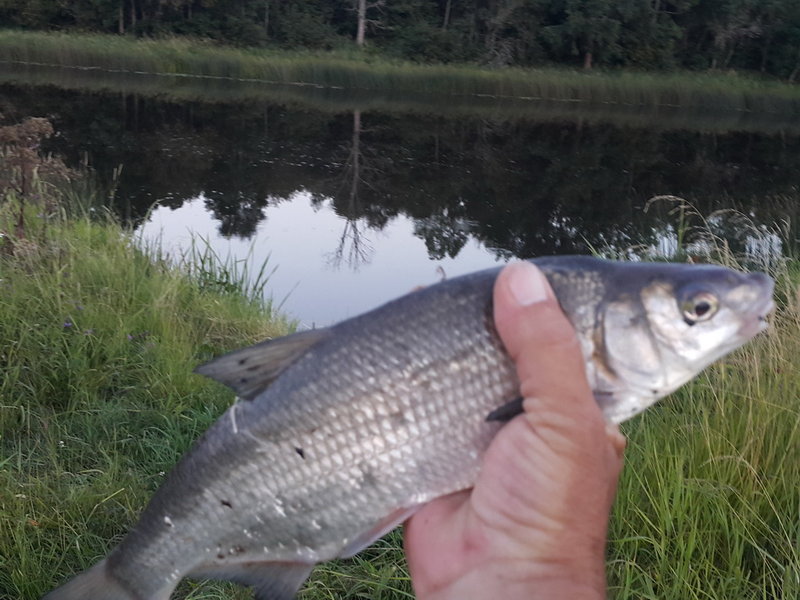20150807_213524.jpg
