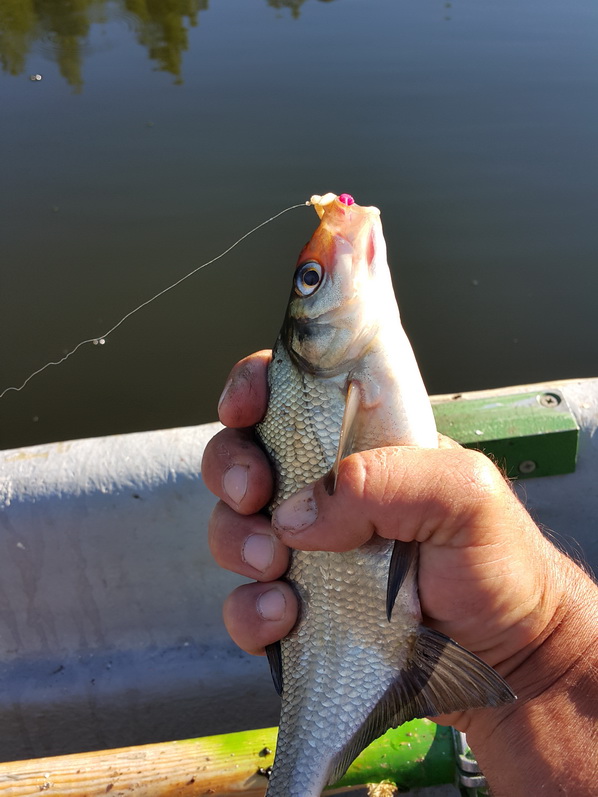 20150820_093827.jpg
