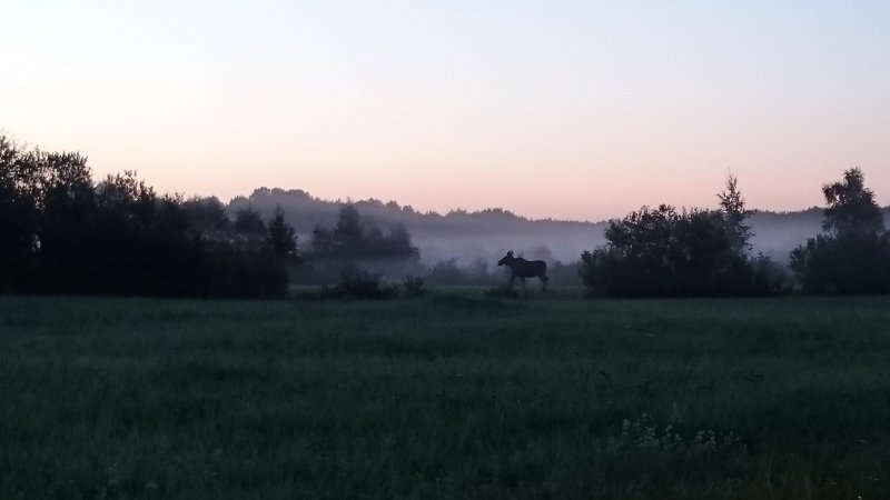 DSC_3076.JPG