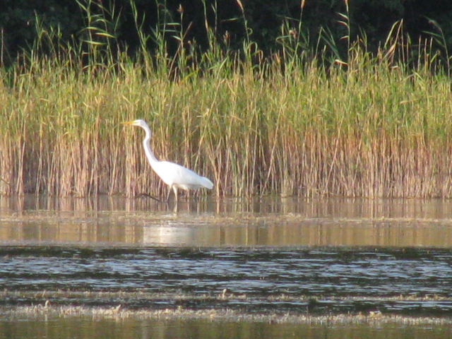 IMG_0604.JPG