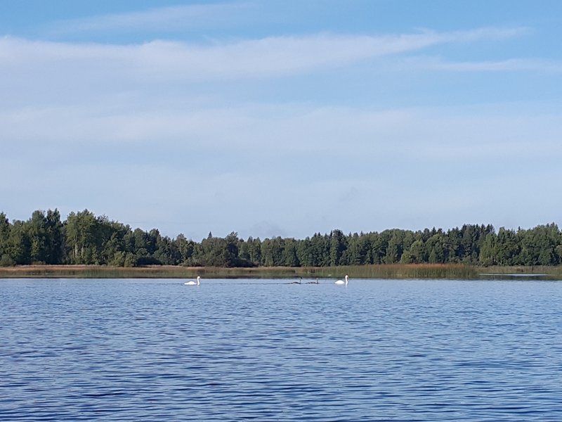 4 сентября, Паункюла2.jpg