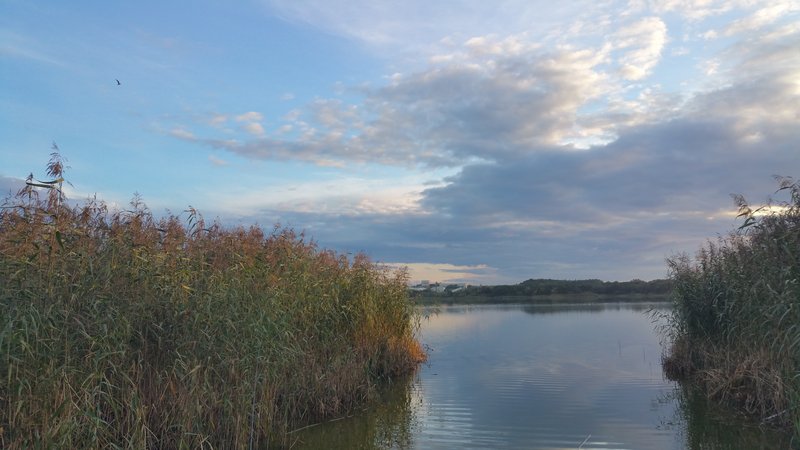 20150905_193119.jpg