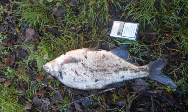 20151008_164722.jpg