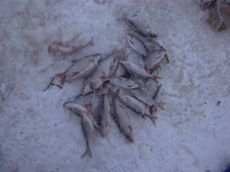 DSCN0003.JPG