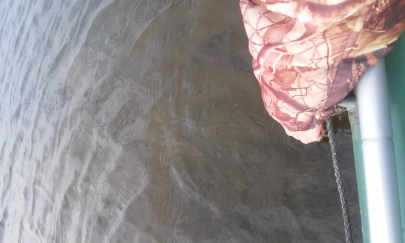 20151021_143441.jpg