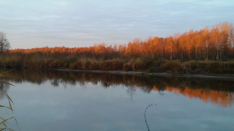 20151021_081656.jpg