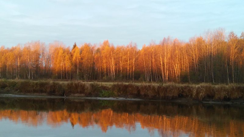 УТРО