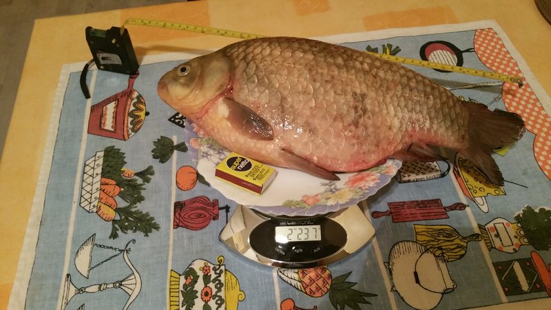 20151025_014046.jpg